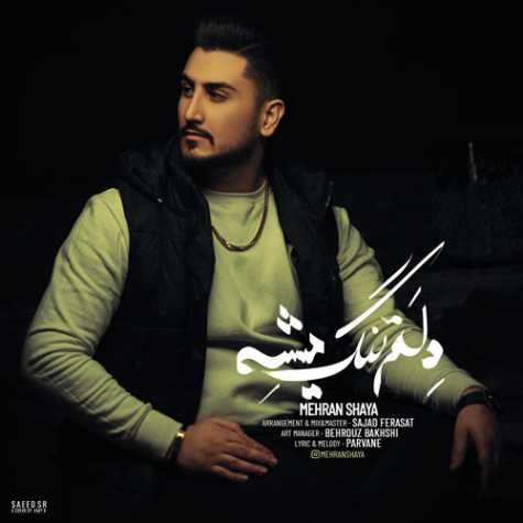mehran shaya delam tang mishe 2024 02 01 18 52