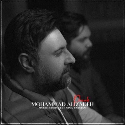 mohammad alizadeh panah 2024 03 13 00 31