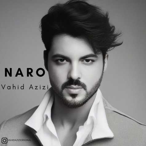 vahid azizi naro 2024 05 30 09 40