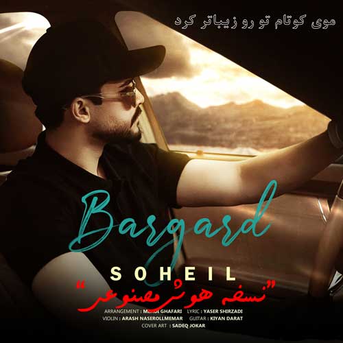 soheil bargard ai version 2024 11 08 13 10