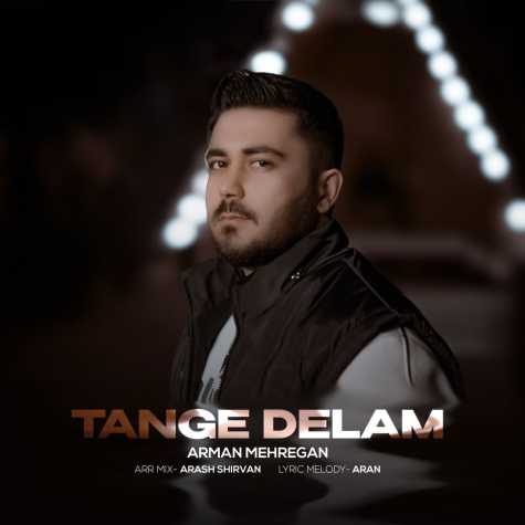 arman mehregan tange delam 2024 12 21 09 46