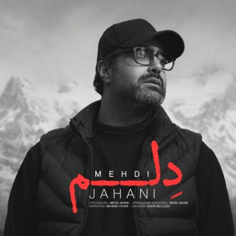 mehdi jahani delam 2025 02 15 14 38