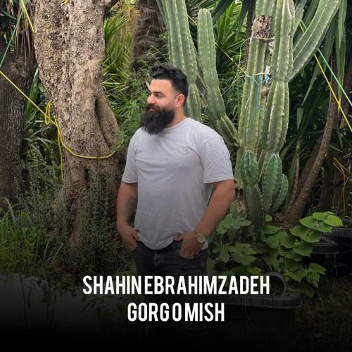 shahin ebrahimzadeh gorg o mish 2025 11 07 15 25