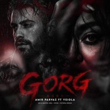 amir parvaz ft veiola gorg 2026 08 11 00 10