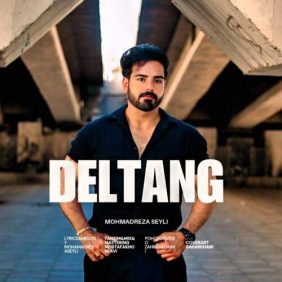 mohamadreza seyli deltang 2026 08 05 22 45